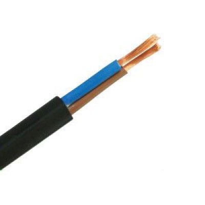 Polycab 10 Sqmm- 2 Core FRLS Insulated Unsheathed Industrial Flexible Cable