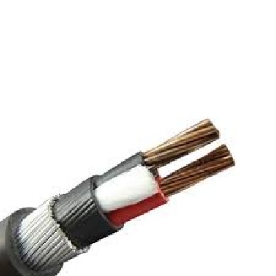 Polycab 50 Sqmm- 2 Core FRLS Insulated Unsheathed Industrial Flexible Cable