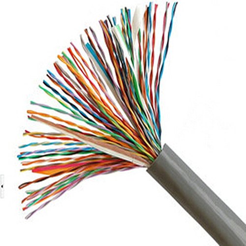 Polycab  100 Pair 0.5 mm Unarmoured Cable Telephonic cable 100 Mtr