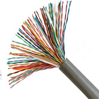 Polycab  100 Pair 0.5 mm Unarmoured Cable Telephonic cable 100 Mtr
