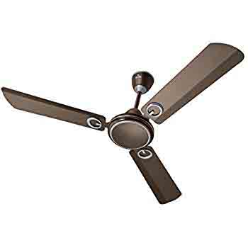 Polycab Fans BRIO 56