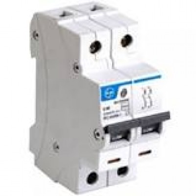 L&T Miniature Circuit Breaker (MCB) Double Pole (DP) C-Curve Cat. No. BB20E50C