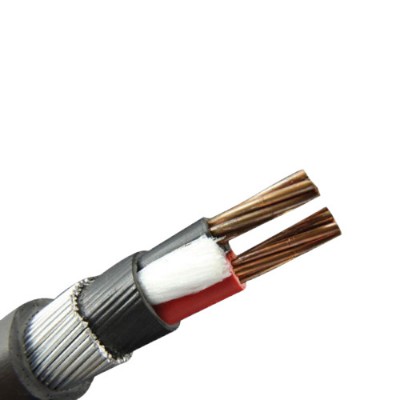 Polycab 2 Core Copper  Armoured Cable 1.1KV- HSN CODE 85446090 