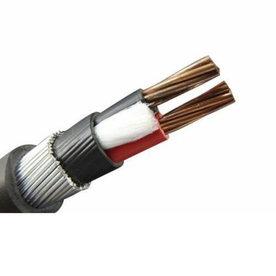 Polycab 95 Sqmm-2 Core Copper Armoured Power Cable 1.1KV- HSN CODE 85446090